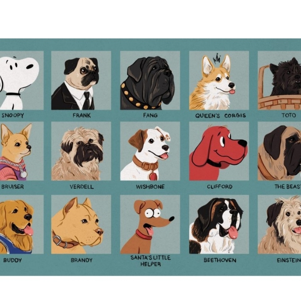 Pet free zone!!